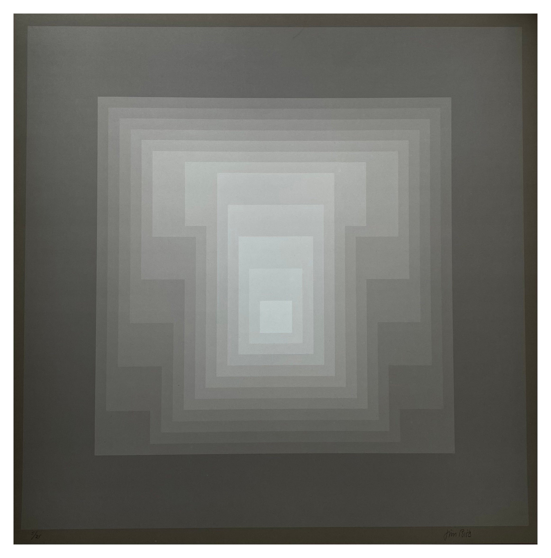 Jim Bird - tribute to Vasarely 3 - 1970 For Sale