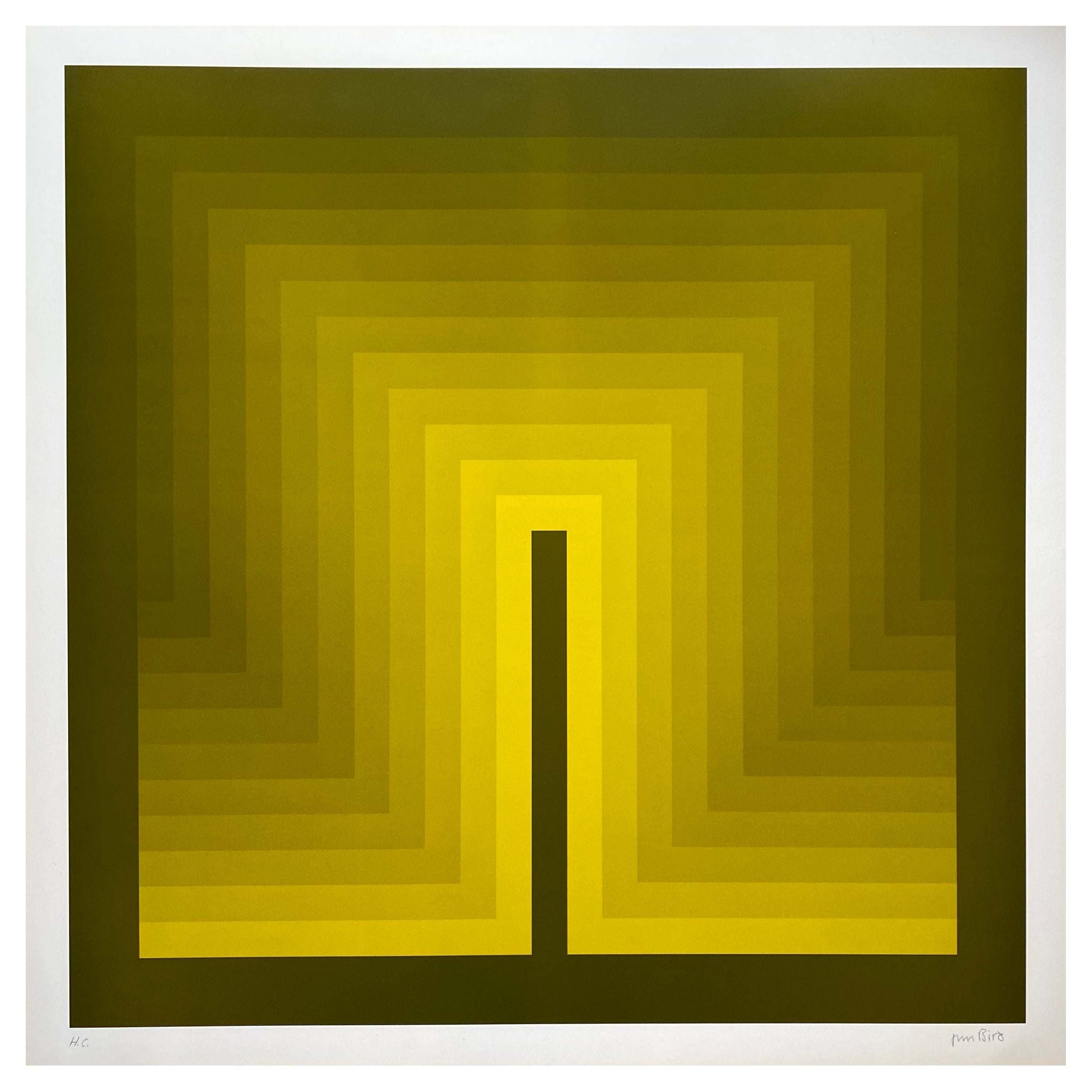 Jim Bird - tribute to Vasarely 11 - 1970 For Sale