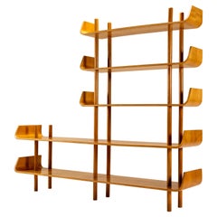 Wilhelm Lutjens Model 545 Wall Unit pour C. Den Boer, Pays-Bas années 1950