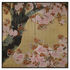 Early 20th Century Japanese Cherry Blossom Screen by Kano Sanrakuki
