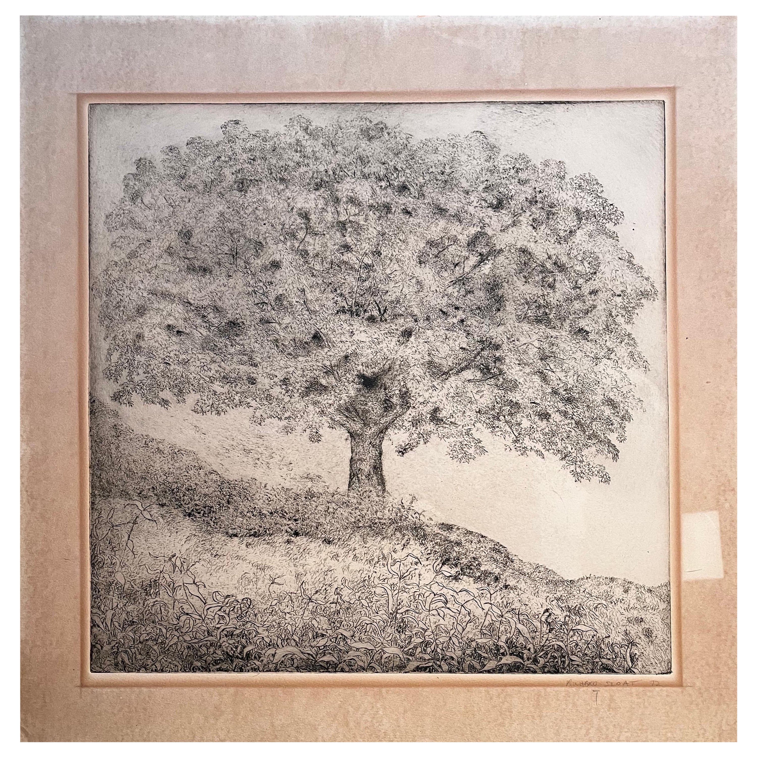 „Baum des Lebens“ Radierung von Richard Sloat, datiert 1972