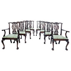 Set of 8 Chippendale Mahogany Ball Clawfoot Dining Chairs 