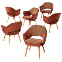 Retro Restored Set of Six Saarinen for Knoll Executive Armchairs with Wood Legs