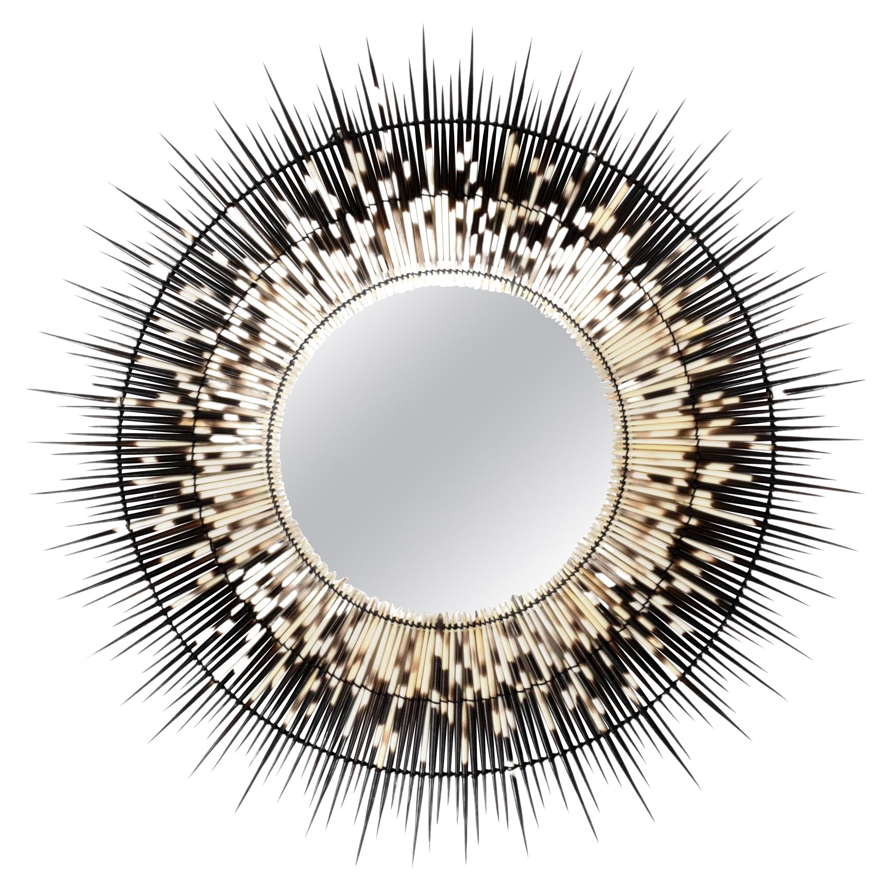 Mirror-Round Small Porcupine Quill  For Sale