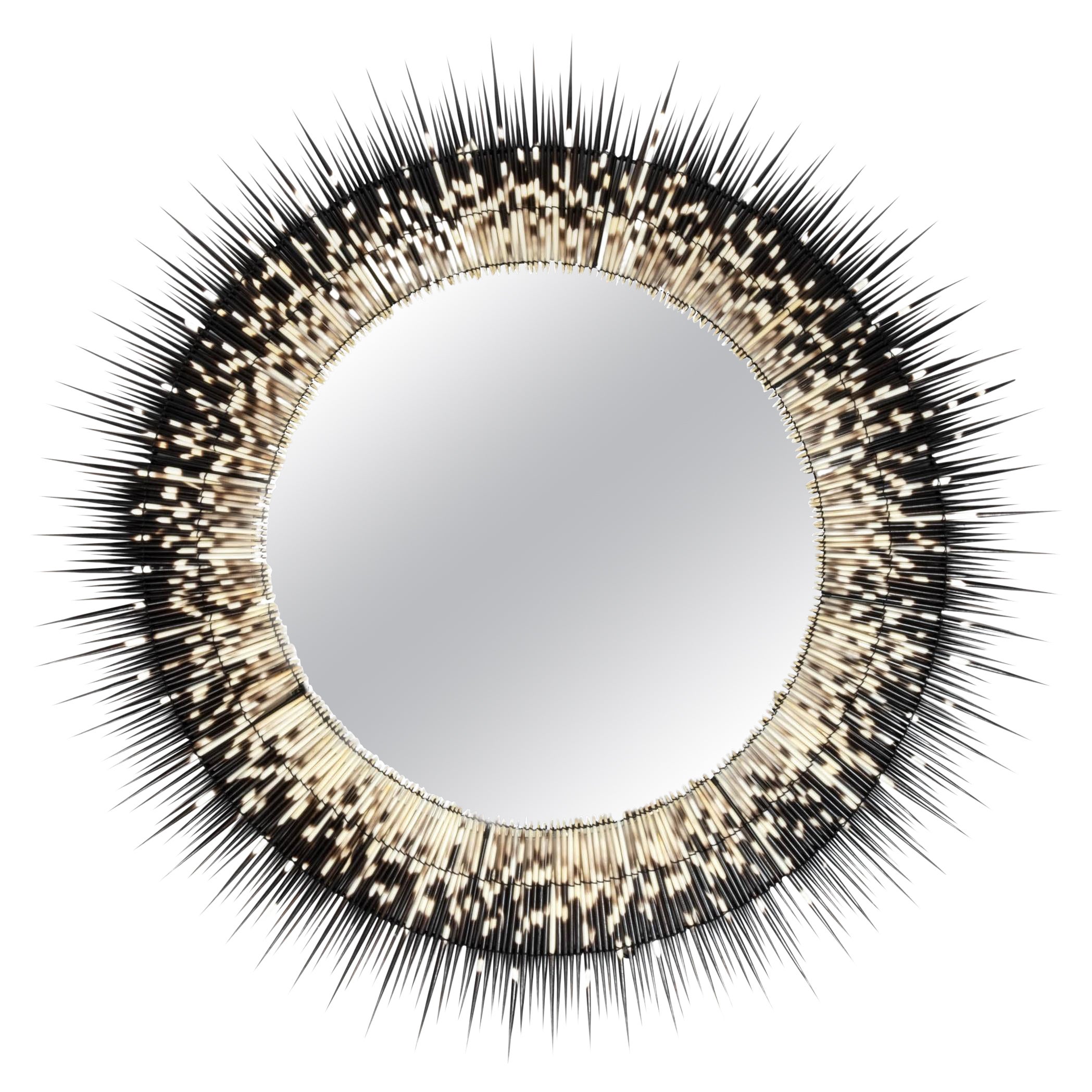 Mirror-Large Round Porcupine Quill For Sale