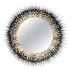 Mirror-Large Round Porcupine Quill