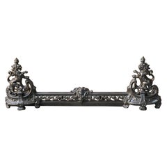 Antique French Fireplace Fender, 19th Century
