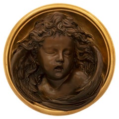 French 19th Century Belle Époque Period Patinated Bronze and Ormolu Wall Plaque
