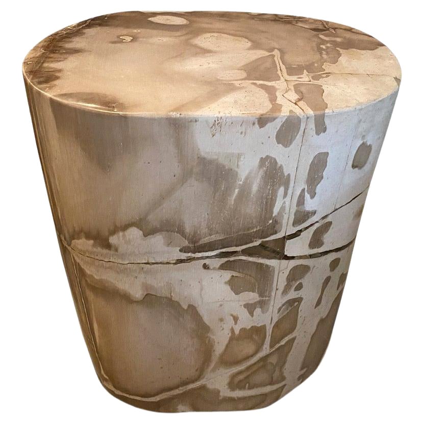 Impressionnante table d'appoint Andrianna Shamaris en bois pétrifié de haute qualité