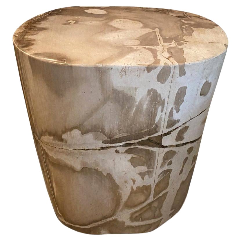 Andrianna Shamaris Impressive High Quality Petrified Wood Side Table