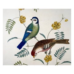Antique 1819 George Brookshaw (b 1751), ornithology, Tom tit & Redpoll, foliate border