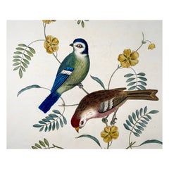 1819 George Brookshaw (n. 1751), ornitología, carbonero garrapinos y redpoll, borde foliado