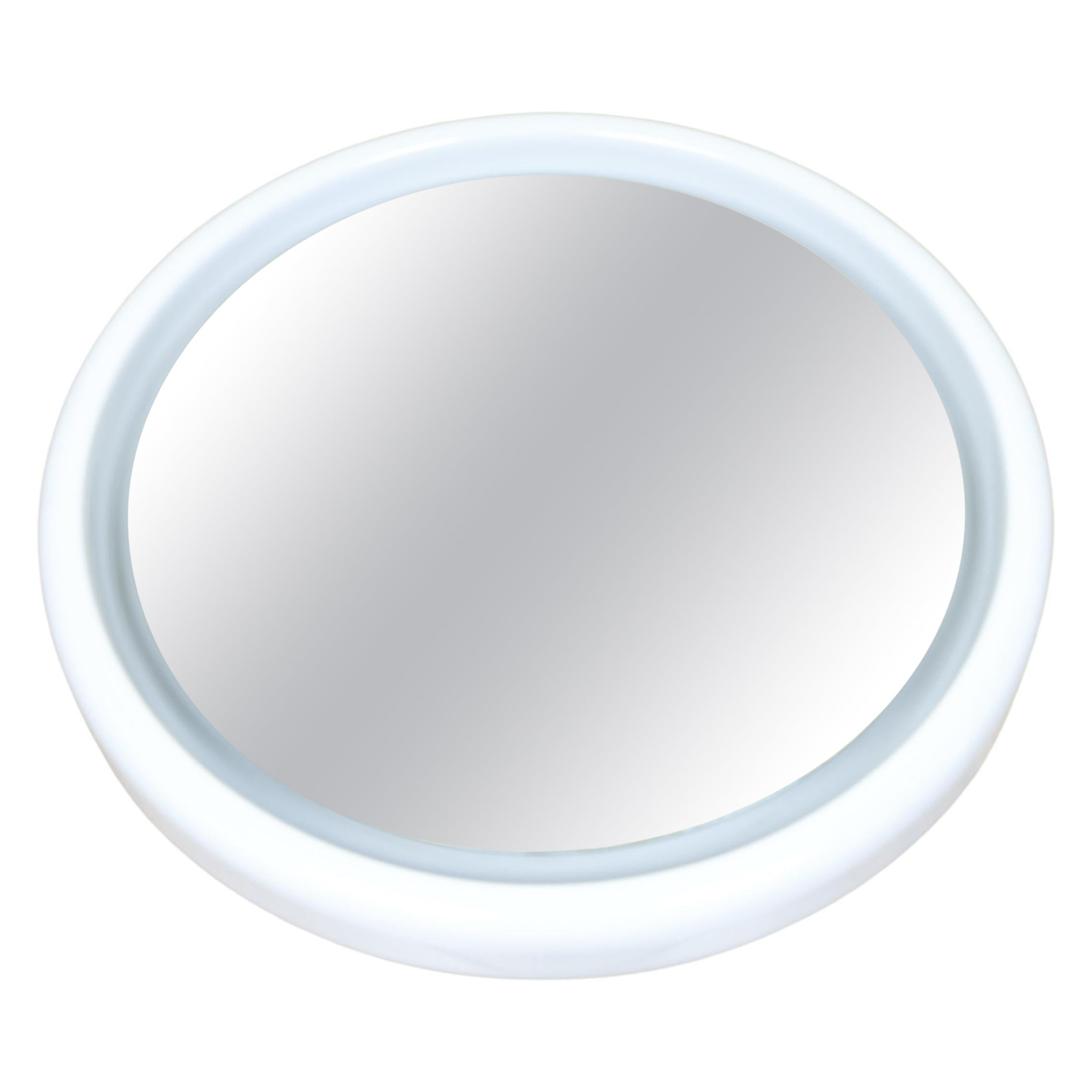 Parrot Shine I Wall Mirror with Two Glossy Porcelain Parakeets For Sale