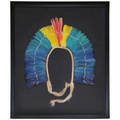 Kayapo 1 Headdress with Natural Feathers