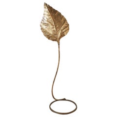 Tommaso Barbi rhubarb leaf brass floor lamp for Carlo Giorgi, Italy, 1970s