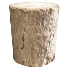 Natural Wood Stump Side Table or Stool