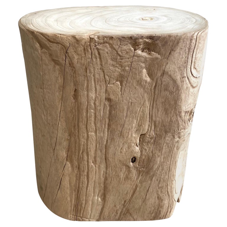 Natural Wood Stump Side Table or Stool For Sale at 1stDibs | stump stool  new world