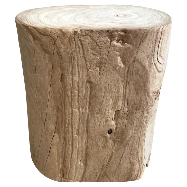 Natural Wood Stump Side Table or Stool For Sale at 1stDibs