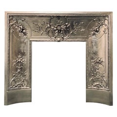 French 19th Century Victorian Cast Iron Fireplace Insert