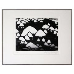 A. Feininger Conus Textile 1950 Signed Portfolio of Shells Gelatin Silver Print