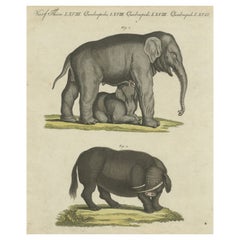 Impression ancienne d'origine de l'éléphant indien et de la bête mythique Sukotyro
