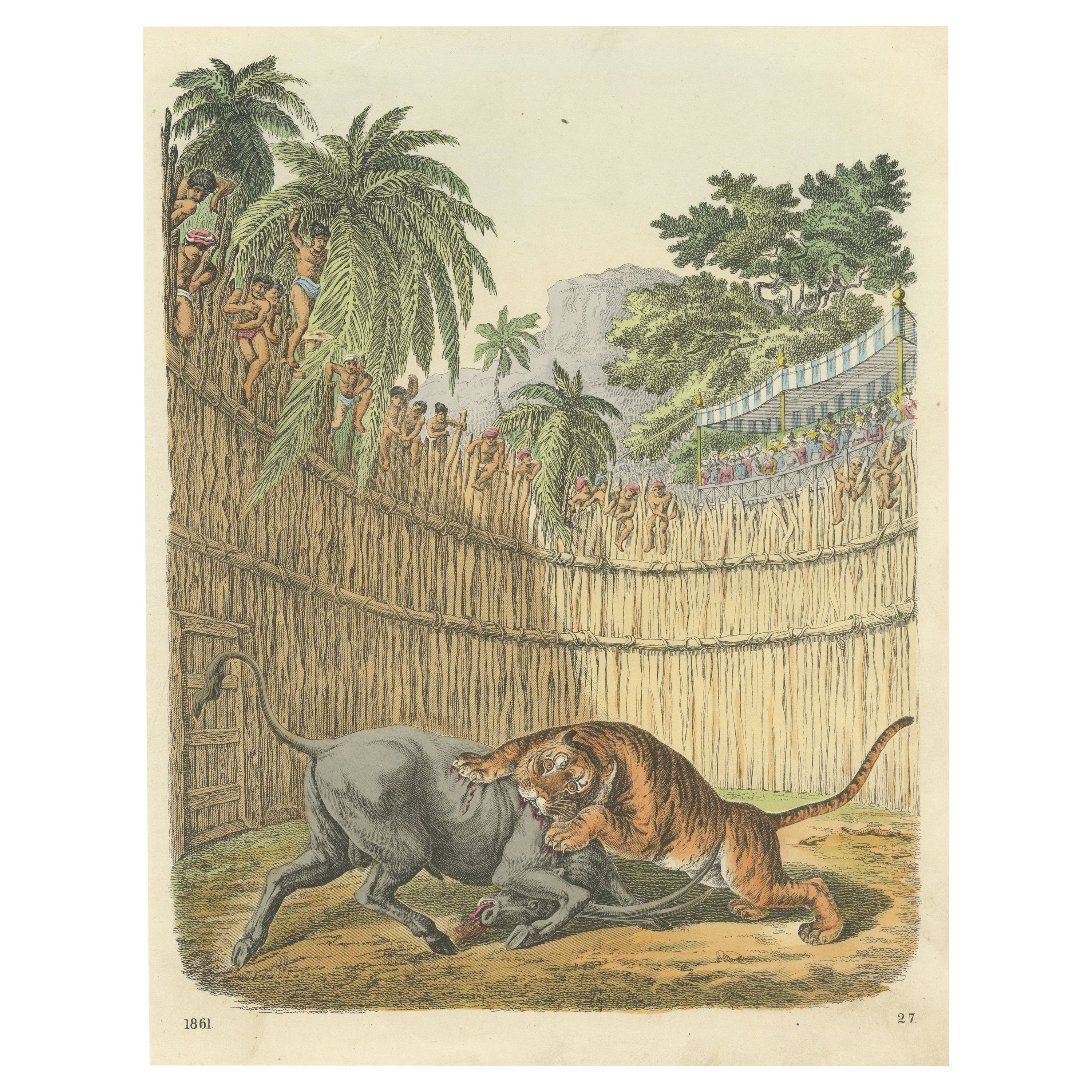 Original Antique Print of a Fight Between a Tiger and Antelope
