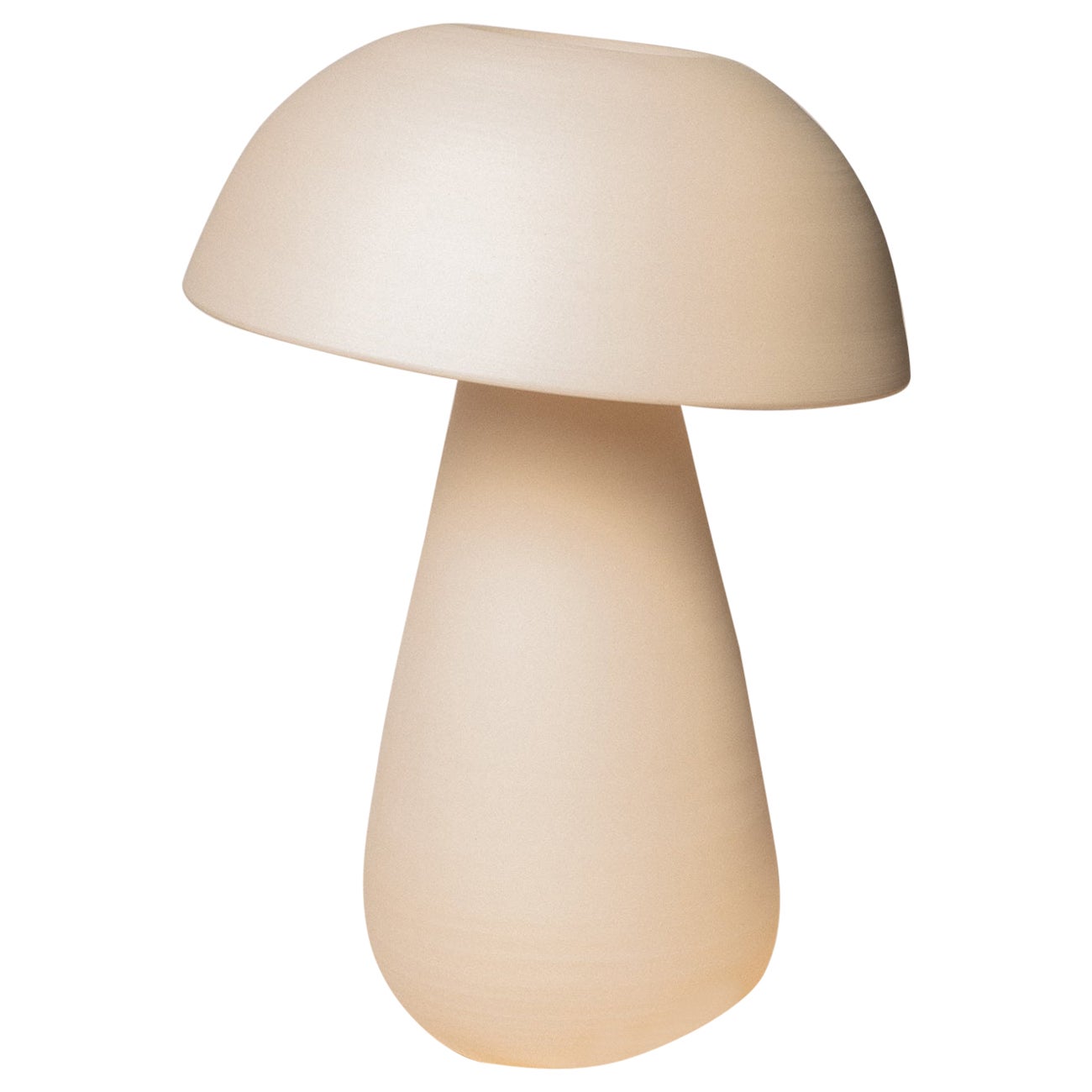 Small Mushroom Lamp by Nick Pourfard