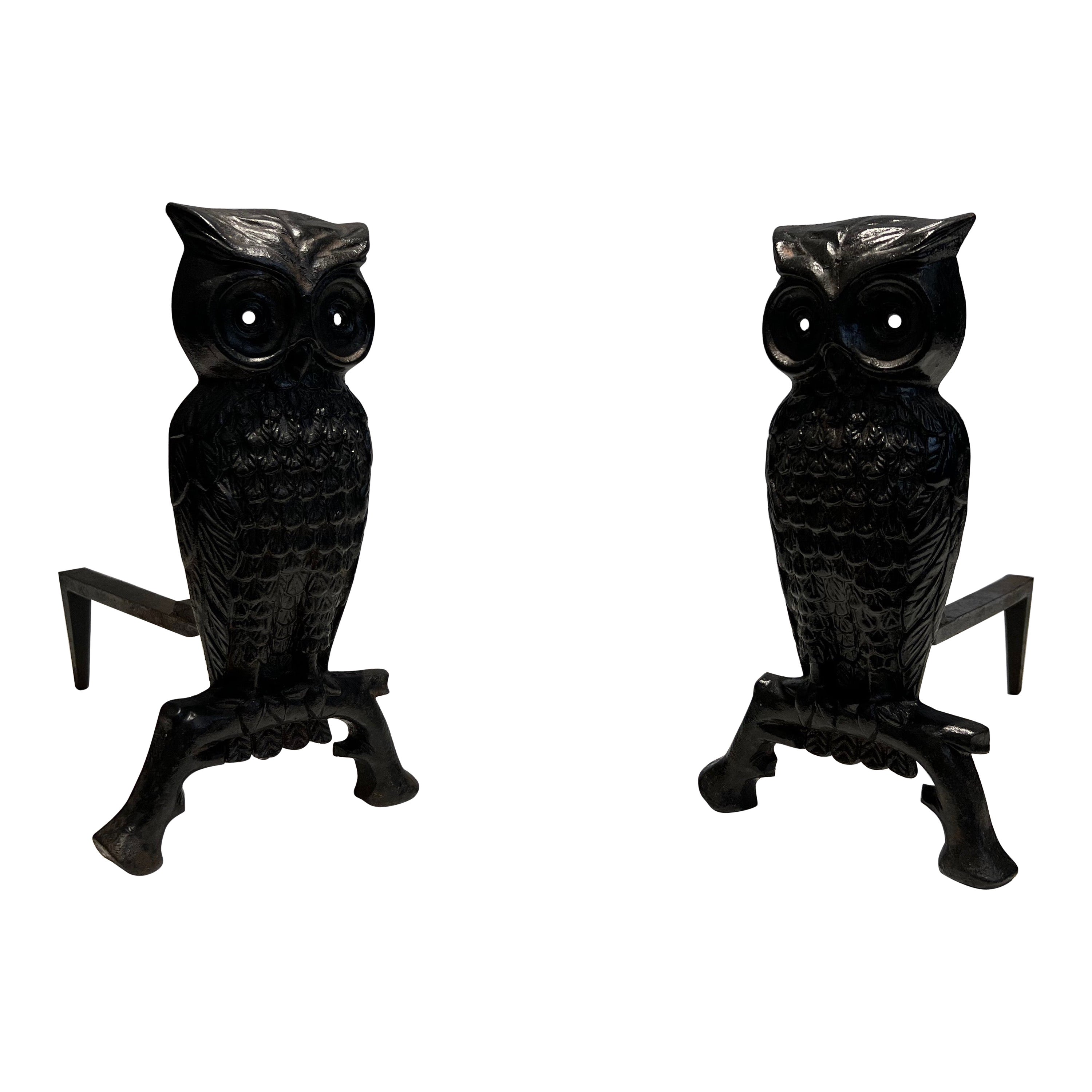 Pair of Cast Iron and Wrought Iron Andirons Showing an Owl For Sale