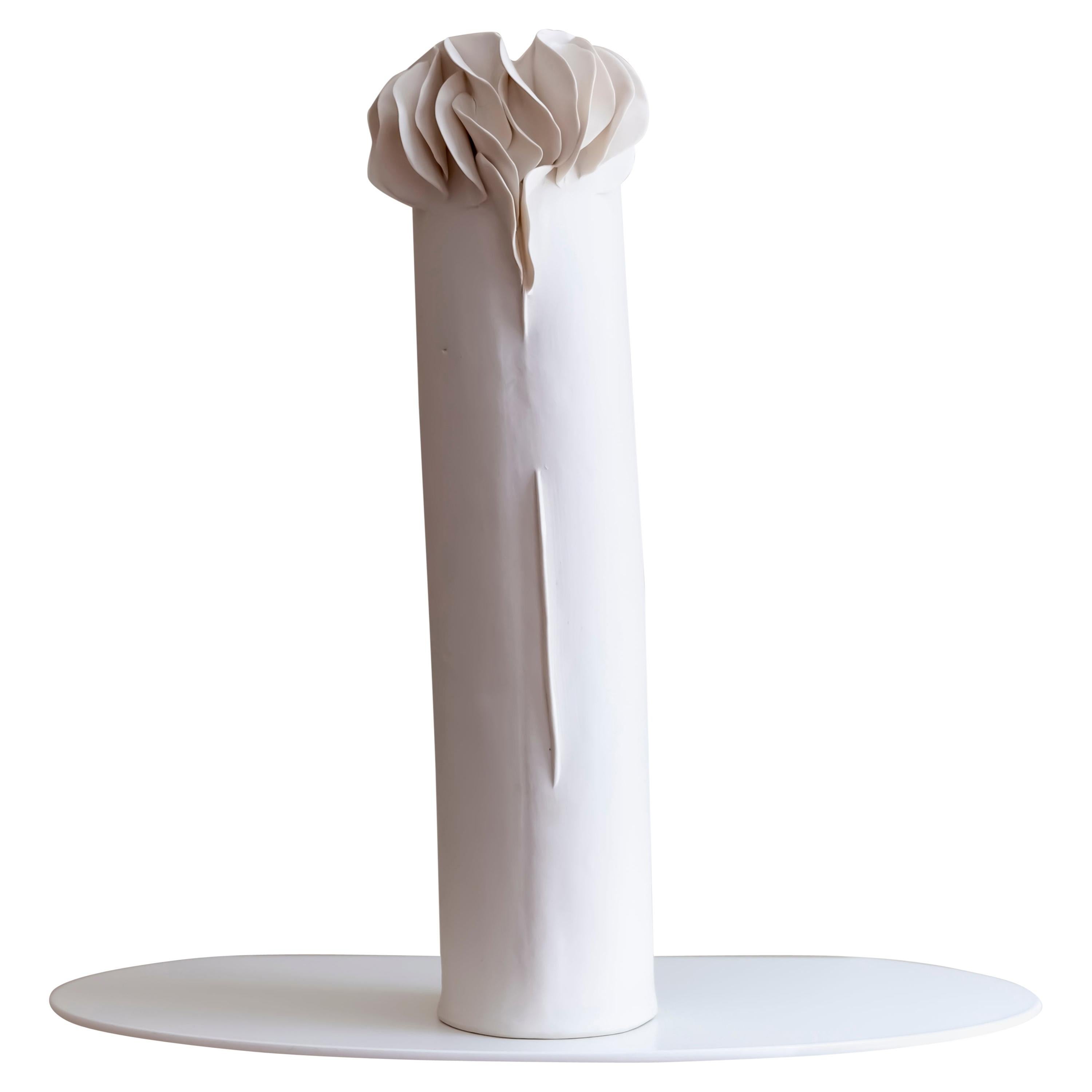 i Vaso Giunchi di Biancodichina