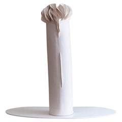 i Vaso Giunchi di Biancodichina