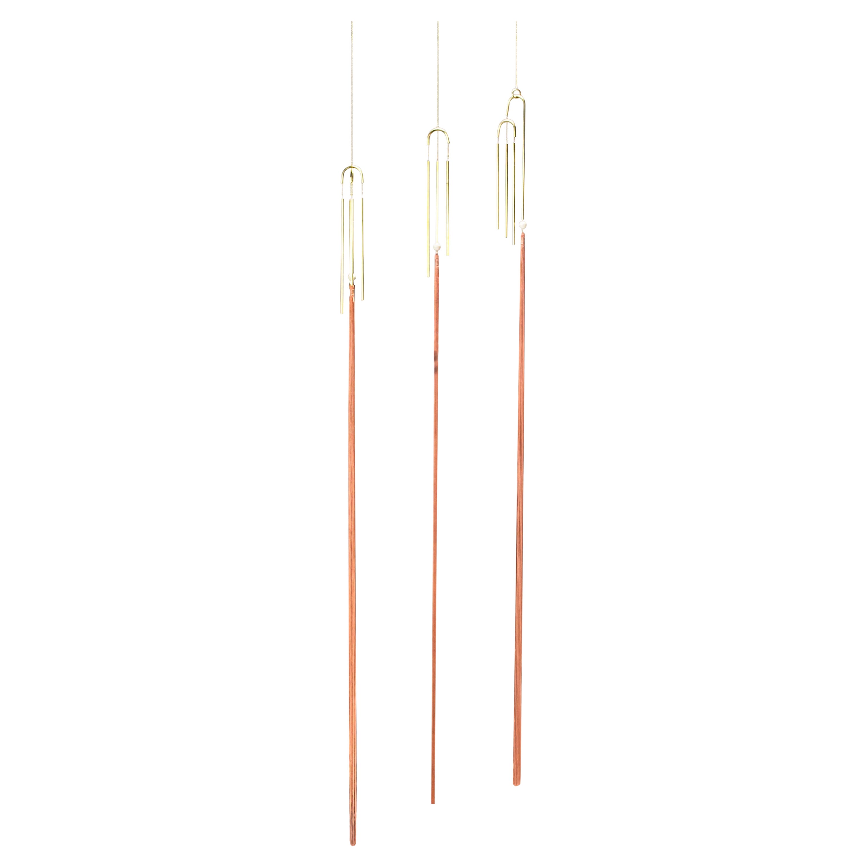 Melodicware Trio, Musik Portal, Agustina Bottoni