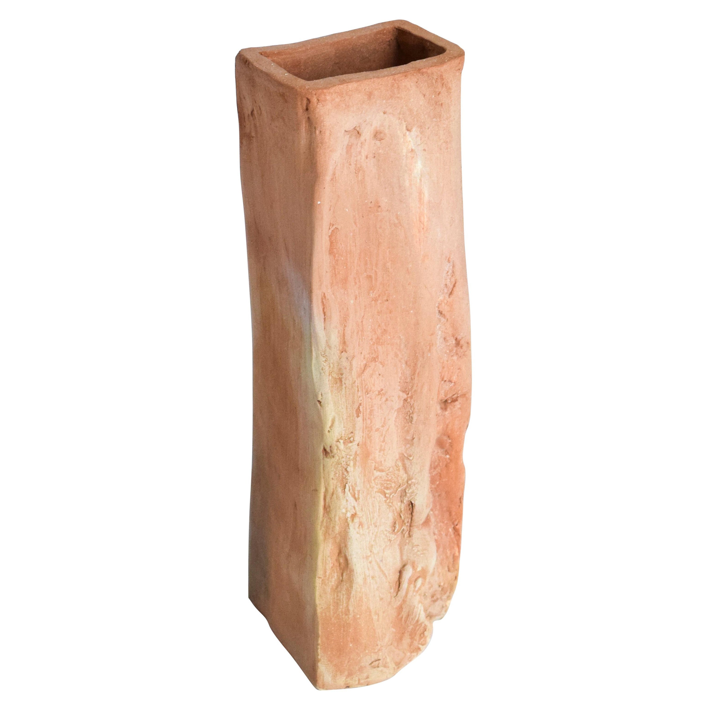 Orgametria, Vaso organico unico, Aurore