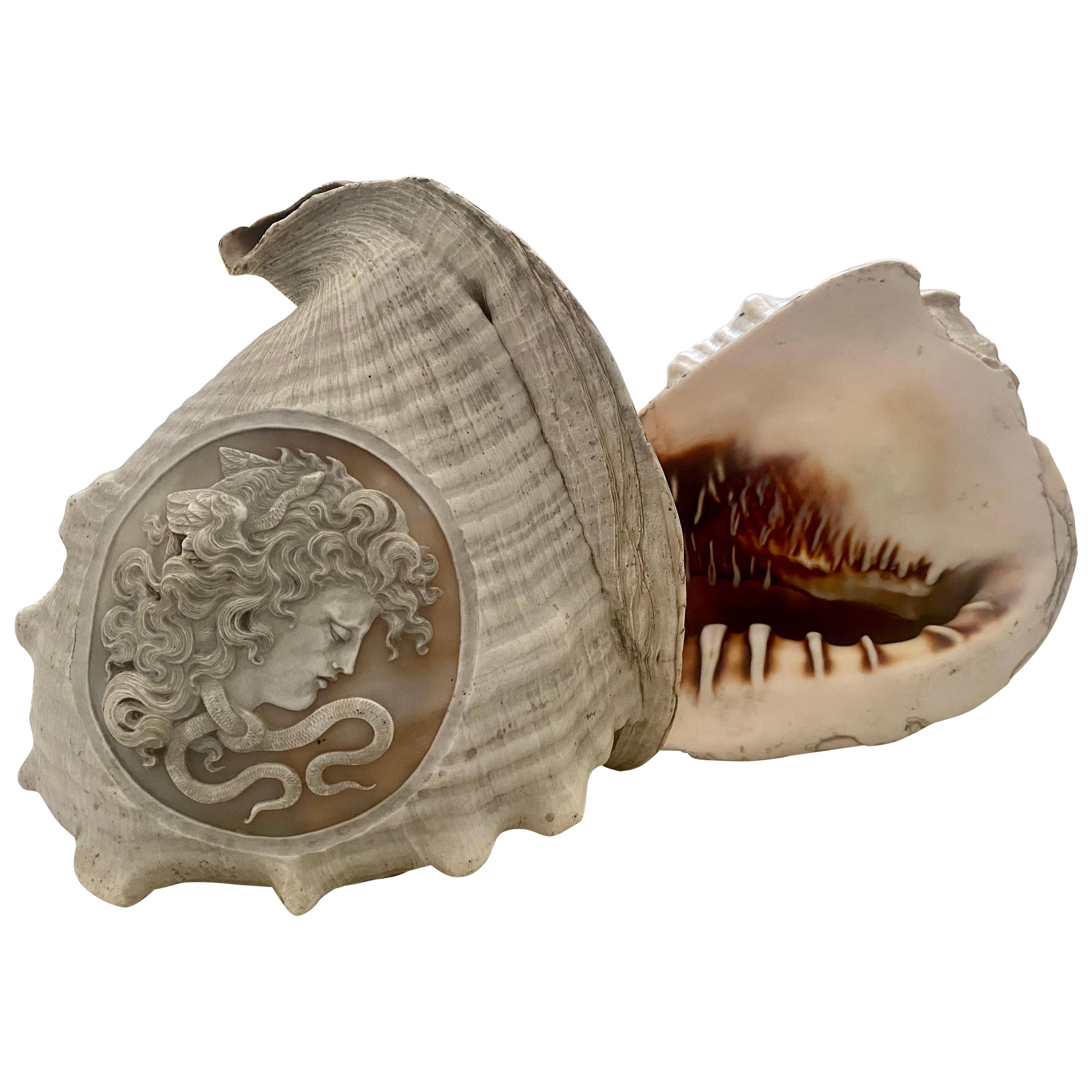 Pair of Italian Cameo 19th Century Carved Conch Shells For Sale