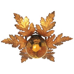 Foliage Sunburst Light Fixture in Gilt Iron with Amber Glass Globe