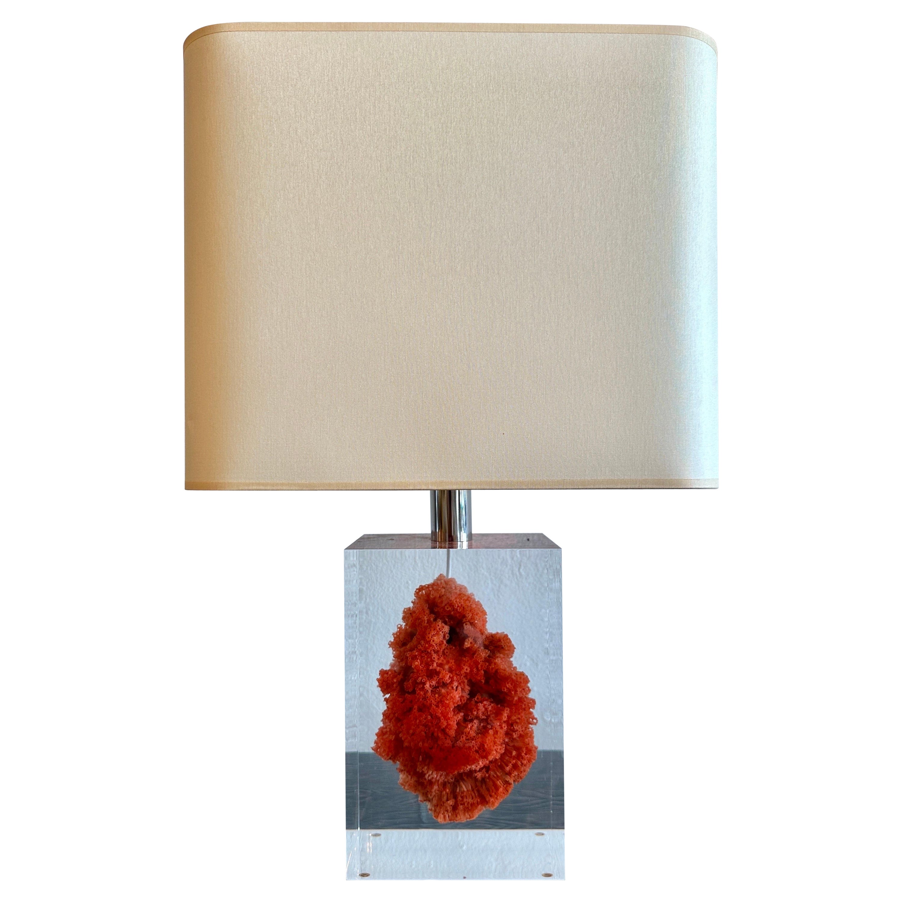 Red Coral Specimen Floating in Lucite Block Table Lamp