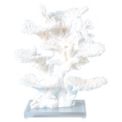 White Table and Branch Coral Sculpture on Lucite