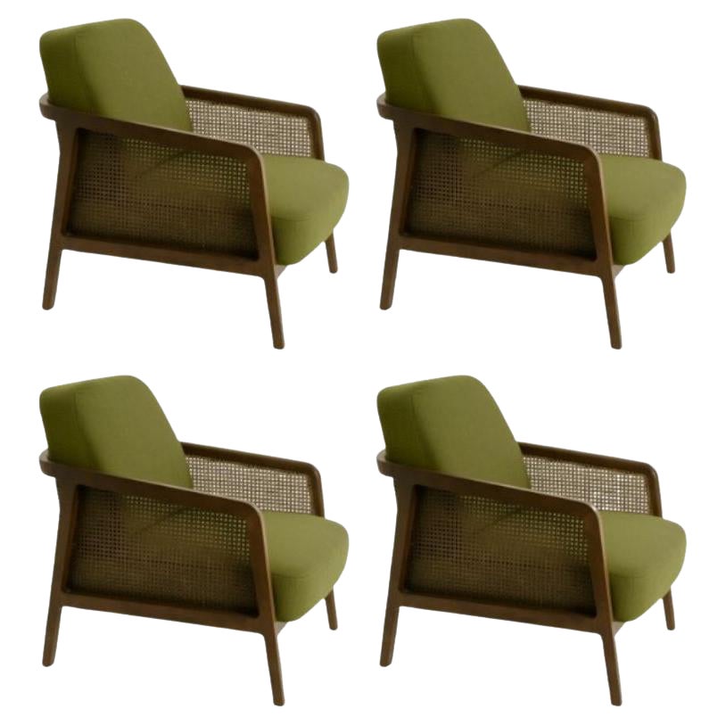 Set of 4, Vienna Lounge Armchair Canaletto Palm Green by Colé Italia For Sale
