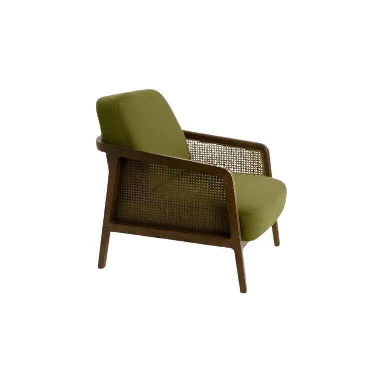 Vienna Lounge Armchair Canaletto Palm Green by Colé Italia For Sale