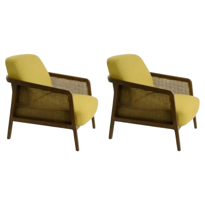 Set of 2, Vienna Lounge Armchair Canaletto Yellow by Colé Italia For Sale