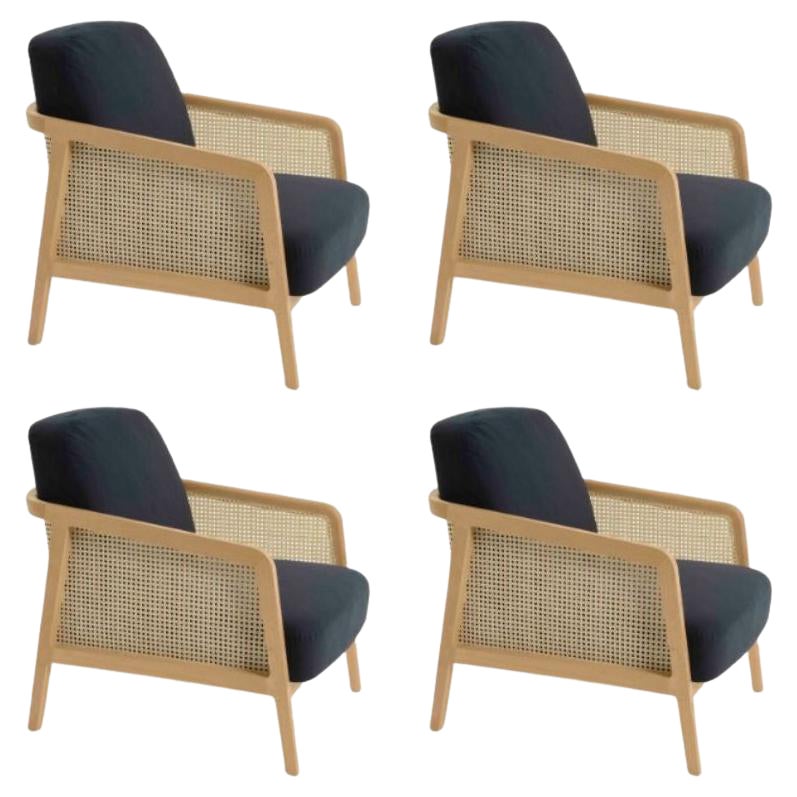 Set of 4, Vienna Lounge Armchair Beech Blue by Colé Italia For Sale