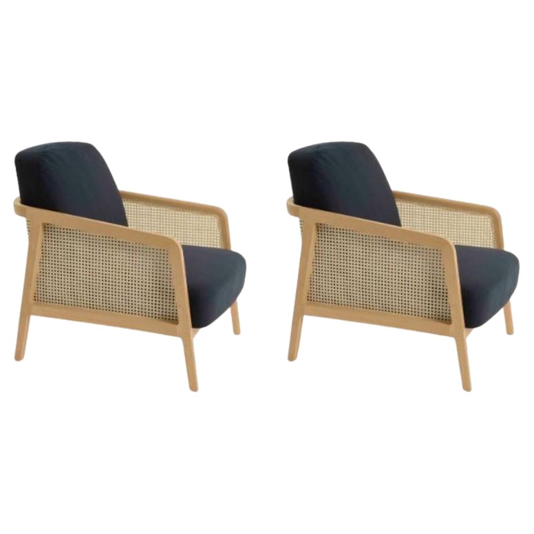 Set of 2, Vienna Lounge Armchair Beech Blue by Colé Italia