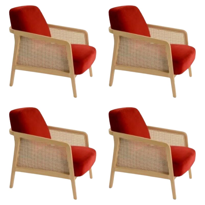 Set of 4, Vienna Lounge Armchair Beech Red Velvet by Colé Italia For Sale
