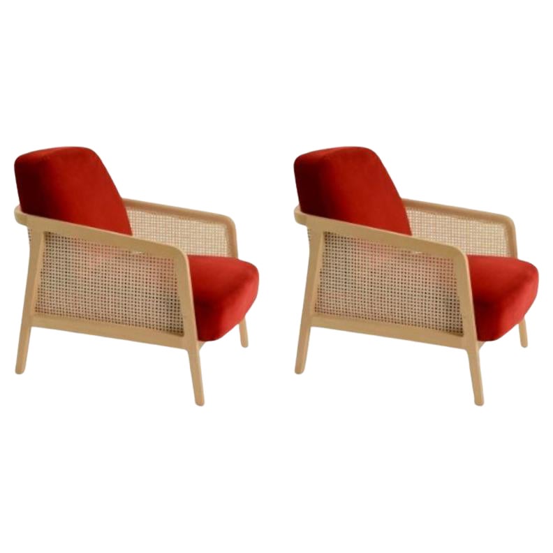 Set of 2, Vienna Lounge Armchair Beech Red Velvet by Colé Italia For Sale