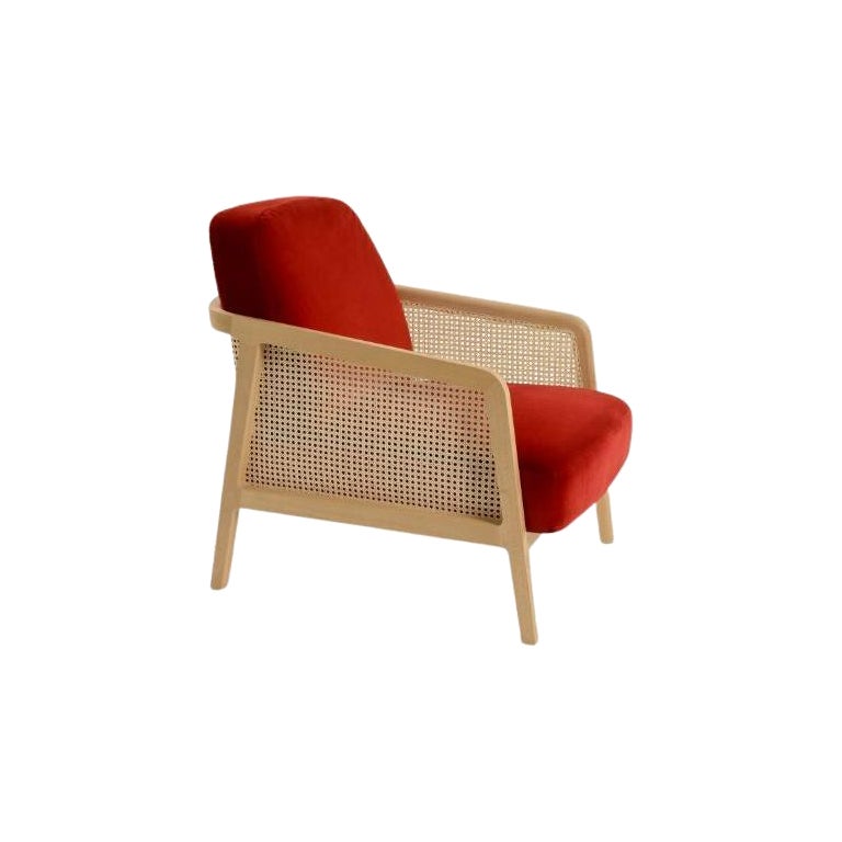 Vienna Lounge Armchair Beech Red Velvet by Colé Italia For Sale