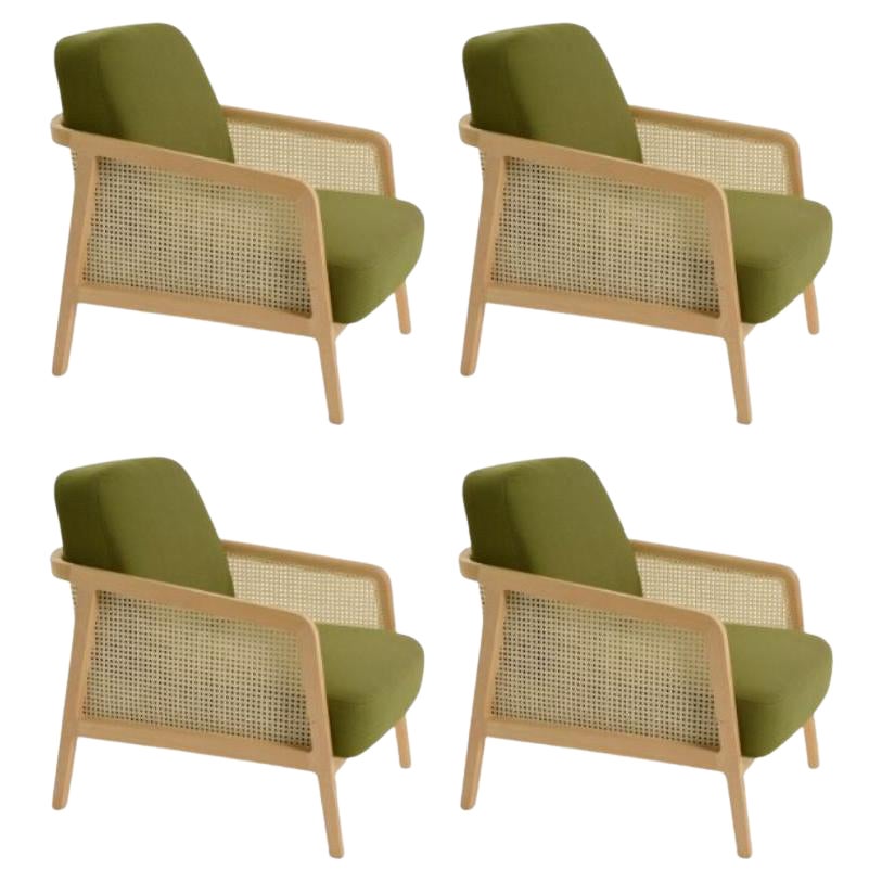 Set of 4, Vienna Lounge Armchair Beech Palm Green by Colé Italia For Sale