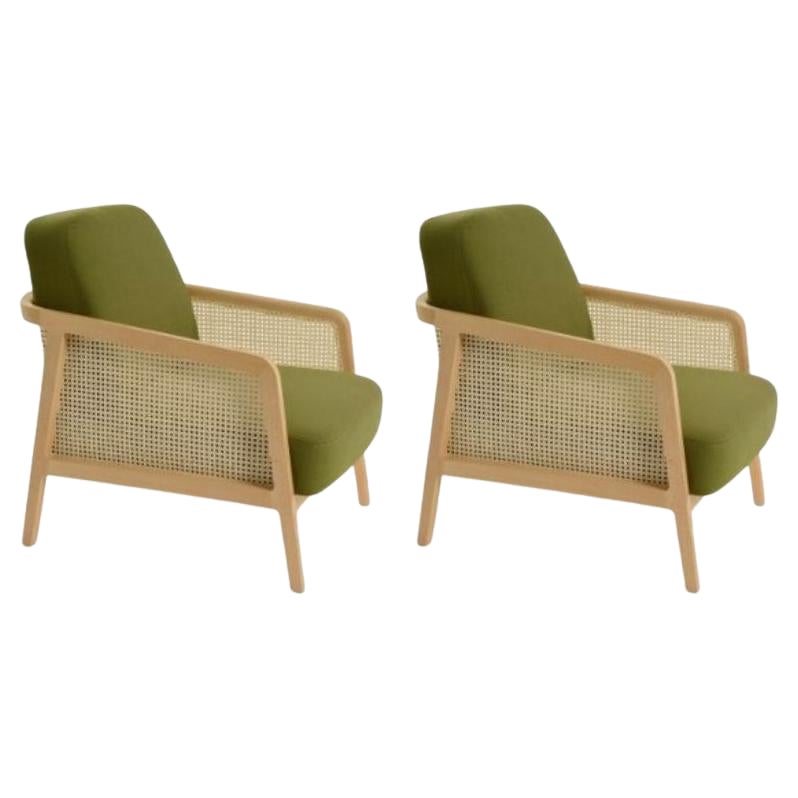 Set of 2, Vienna Lounge Armchair Beech Palm Green by Colé Italia For Sale
