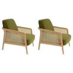 Set of 2, Vienna Lounge Armchair Beech Palm Green by Colé Italia