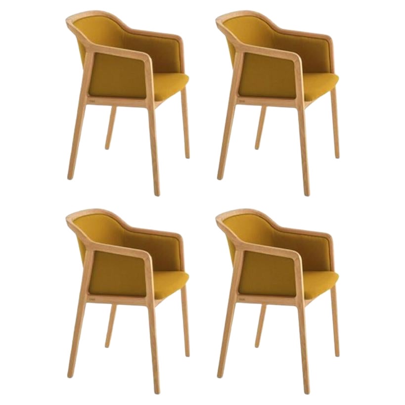 Set of 4, Vienna Soft Little Armchairs, Curry by Colé Italia