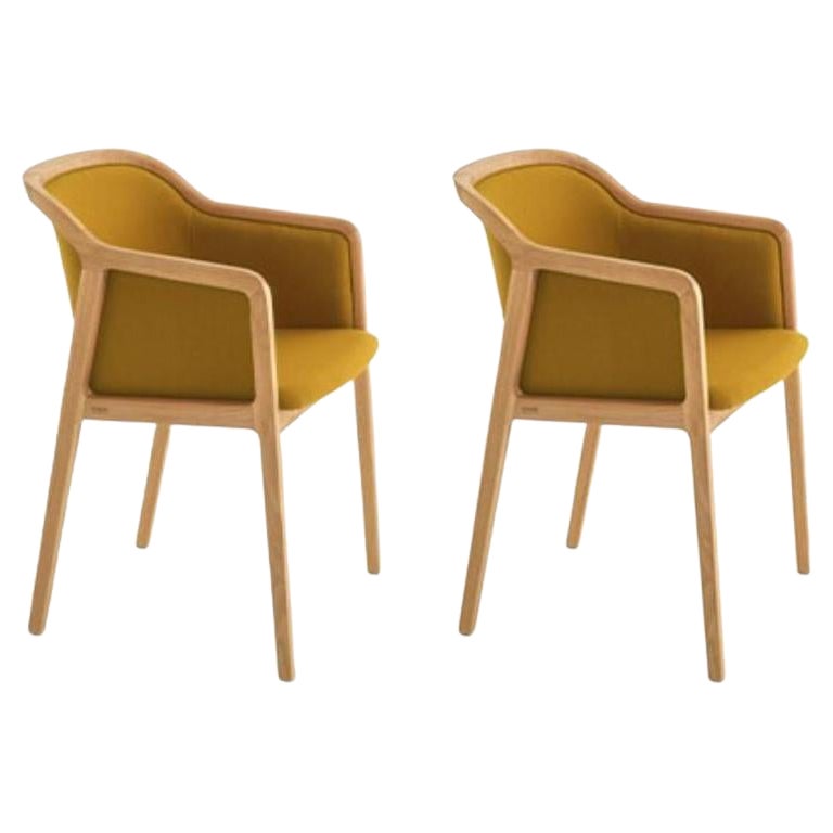 Set of 2, Vienna Soft Little Armchairs, Curry by Colé Italia For Sale