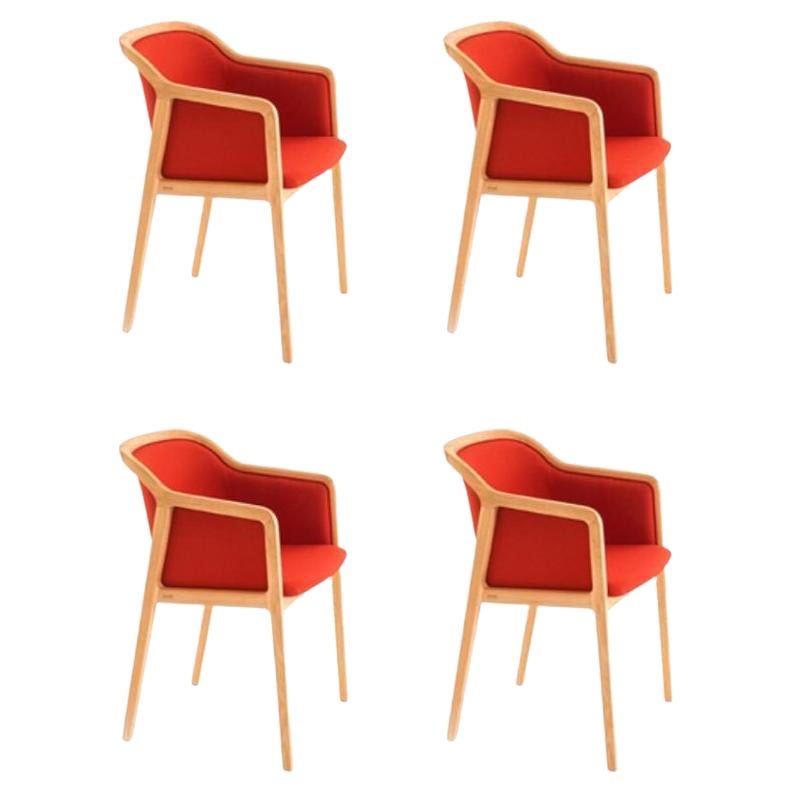 Set of 4, Vienna Soft Little Armchairs, Chili by Colé Italia For Sale